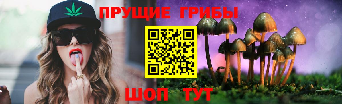 Псилоцибиновые грибы Cubensis  Вход с VPN  Красноярск 